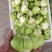 羊角菜，榨菜，泡菜，凌角菜