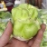 羊角菜，榨菜，泡菜，凌角菜