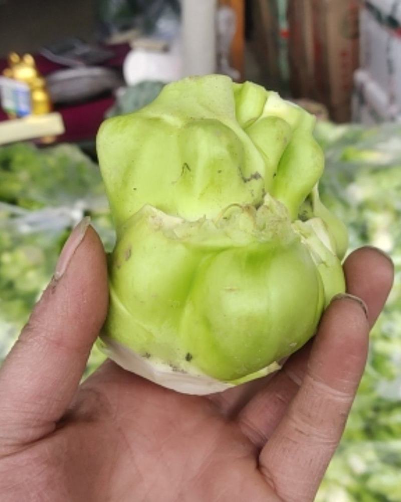 羊角菜，榨菜，泡菜，凌角菜