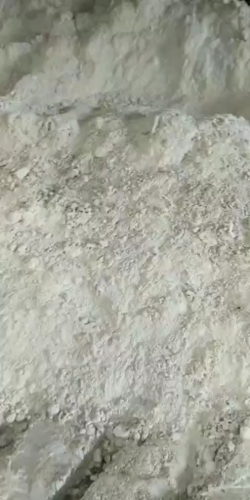 油渣粉（玉米油渣粉！大豆油渣粉！花生油渣粉）量大价优