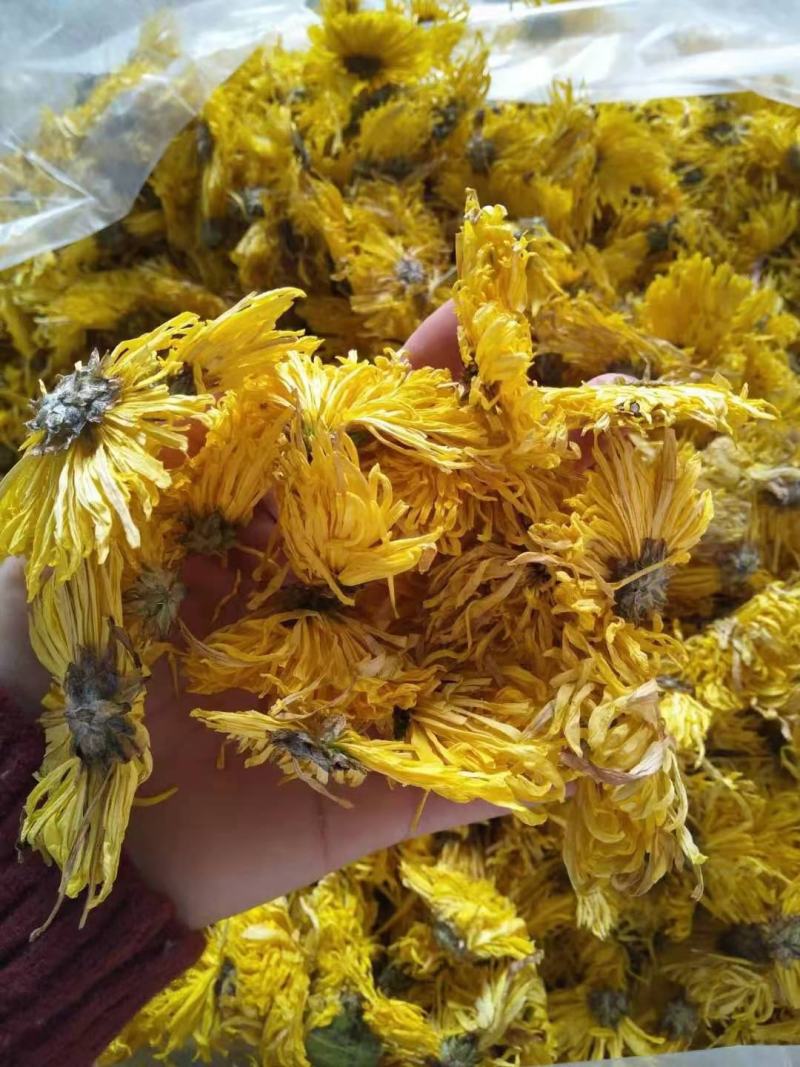 修水金丝皇菊散装花菊花茶
