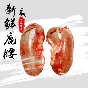 梅花鹿，鹿腰子，人工散养鹿场售卖，现杀售卖，新鲜肉质