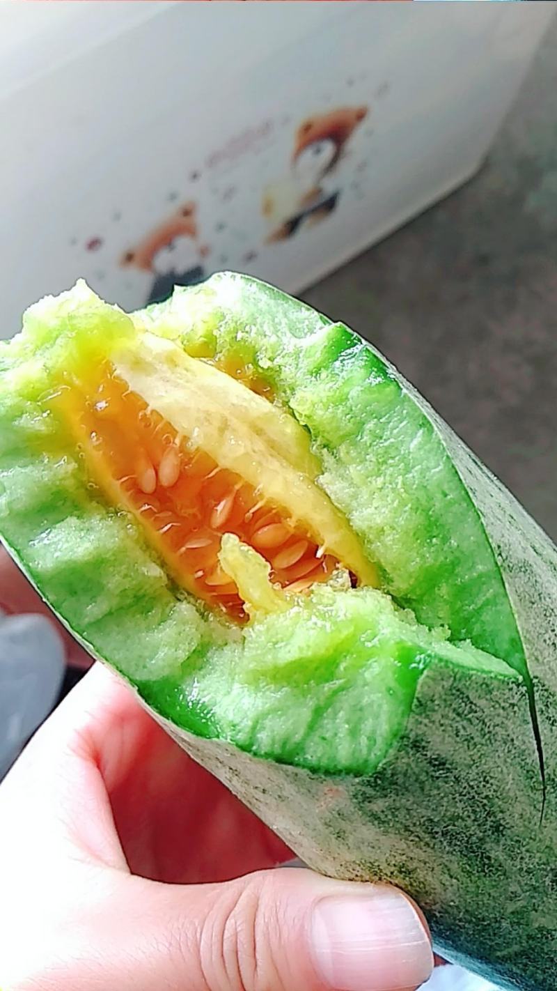 山东羊角蜜甜瓜现摘水果蜜瓜、羊角脆甜瓜甜瓜香瓜一件代发