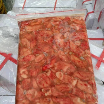 石班鱼肚，大量批发