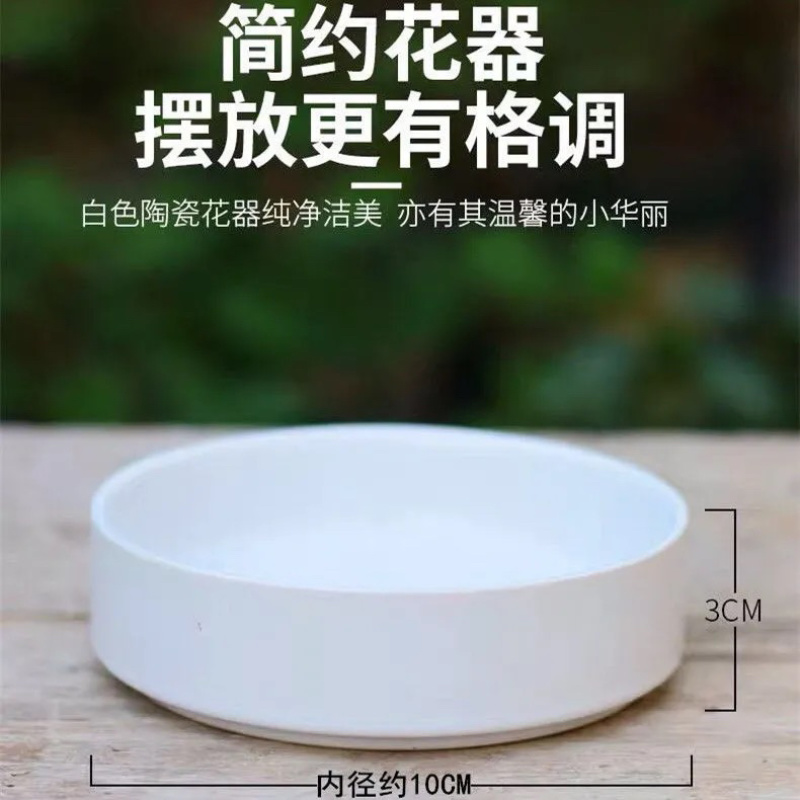 巴西木专用花盆陶瓷盆