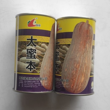 绿领大蜜本南瓜种子中晚熟大果型瓜肉橙红色味粉甜
