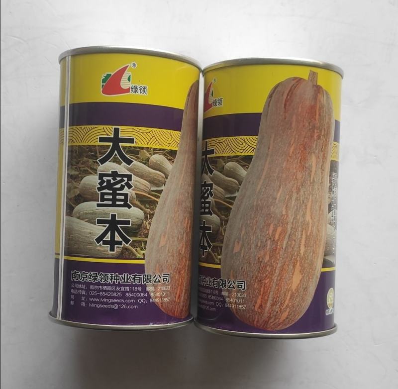 绿领大蜜本南瓜种子中晚熟大果型瓜肉橙红色味粉甜