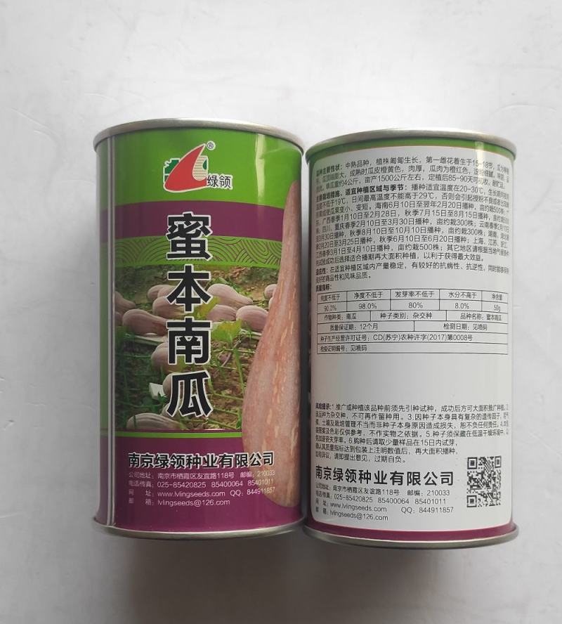 绿领大蜜本南瓜种子中晚熟大果型瓜肉橙红色味粉甜