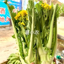 增城迟菜心高脚迟菜心现切现发特选装精选装