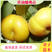 黄油蟠桃7号苗新品种黄肉甜脆红油蟠桃苗早熟6月上