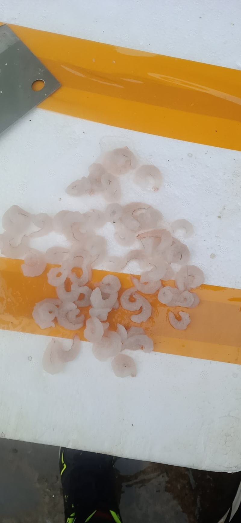 淡水湖，，白条虾仁，，，，，，，，