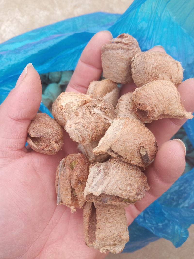 桑螵蛸大棉（螳螂子）当年新货产地直销干净无杂质