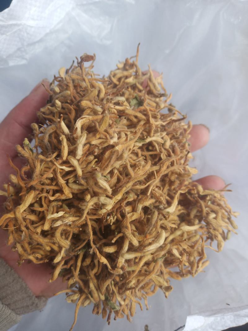 金银花晒货全花蕾开花货都有颜色白黄当年新货产地直销