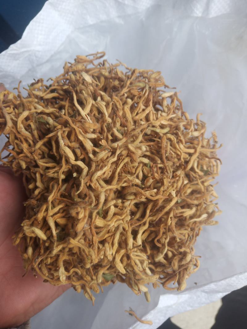 金银花晒货全花蕾开花货都有颜色白黄当年新货产地直销