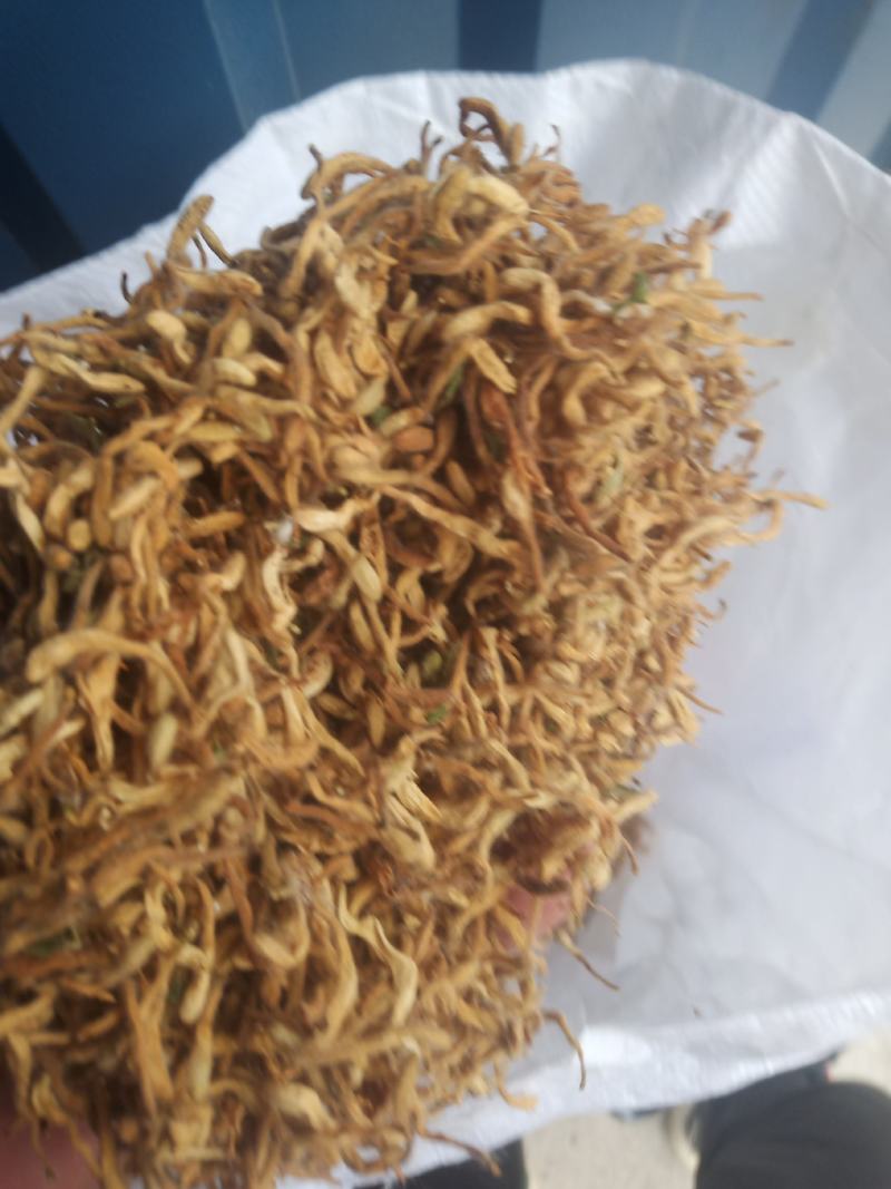 金银花晒货全花蕾开花货都有颜色白黄当年新货产地直销