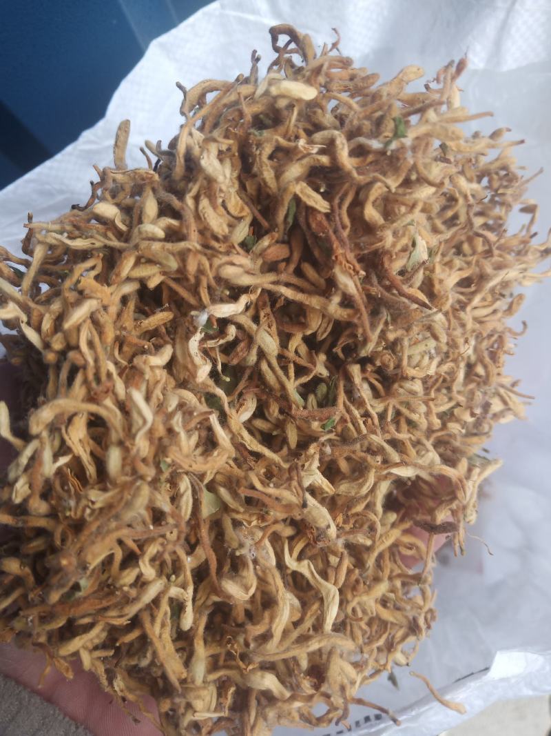 金银花晒货全花蕾开花货都有颜色白黄当年新货产地直销