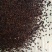 荆芥种子荆芥籽一年生，5斤以上非边远地区包邮！