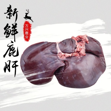 新鲜鹿肝！