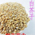 中药纯白芥子粉白芥籽粉现磨粉500克散装包邮