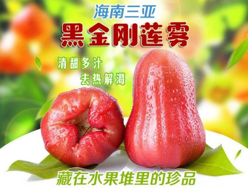 空运包邮～海南黑金刚莲雾，海南莲雾一级果，产地直发