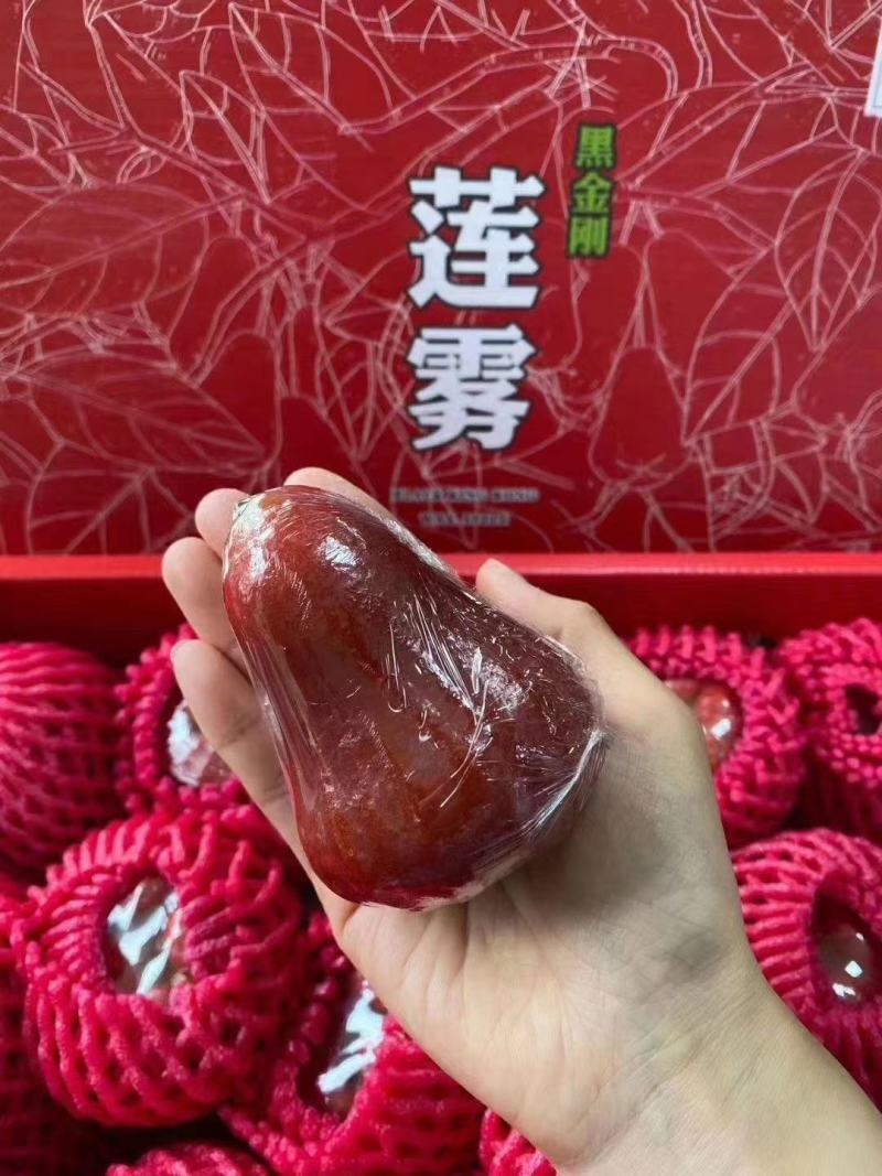 空运包邮～海南黑金刚莲雾，海南莲雾一级果，产地直发