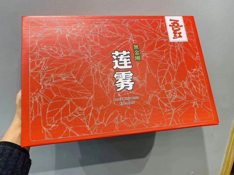 空运包邮～海南黑金刚莲雾，海南莲雾一级果，产地直发