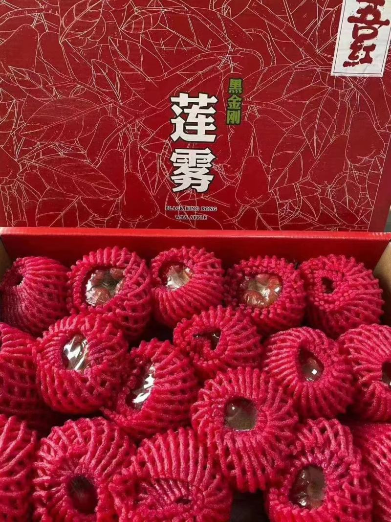空运包邮～海南黑金刚莲雾，海南莲雾一级果，产地直发
