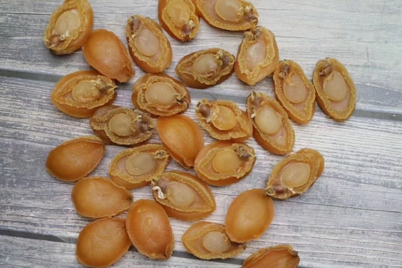 50-60头鲍鱼干货