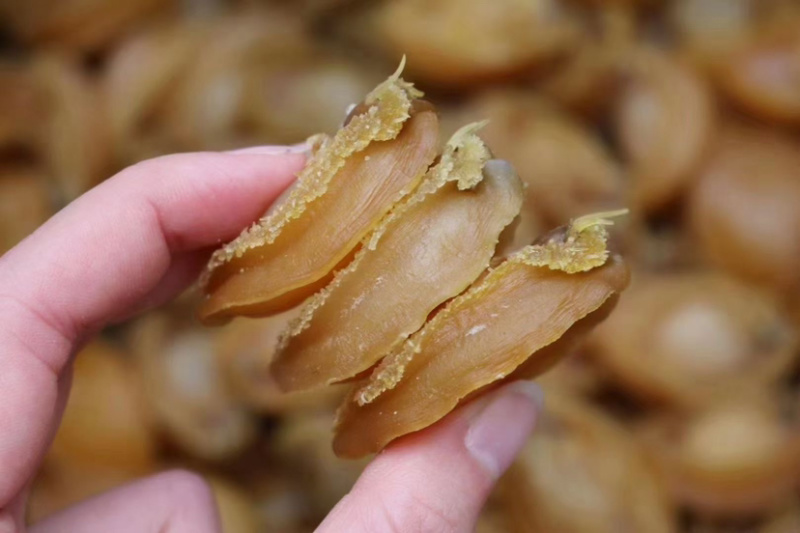 50-60头鲍鱼干货