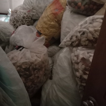 新会陈皮自产自销价钱平
