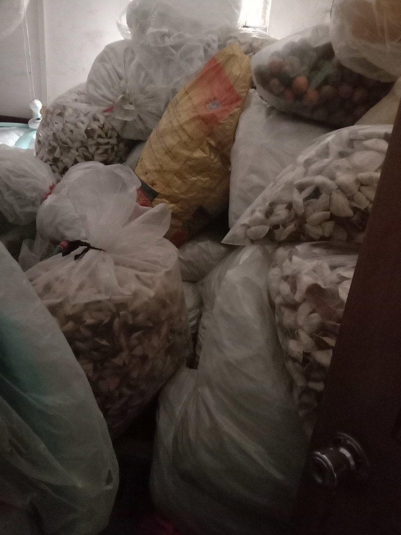 新会陈皮自产自销价钱平