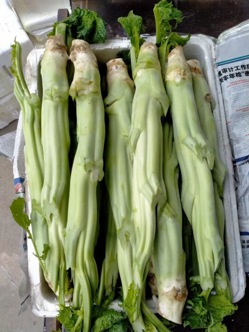 本地菜心大量上市，新鲜水嫩