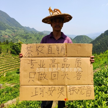 【专业批发】铁观音兰花香产地礼盒装清香型浓香型一斤批发