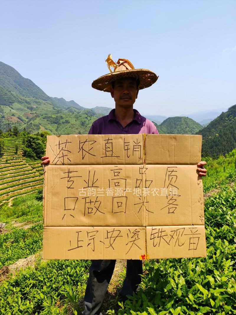 【专业批发】铁观音兰花香产地礼盒装清香型浓香型一斤批发