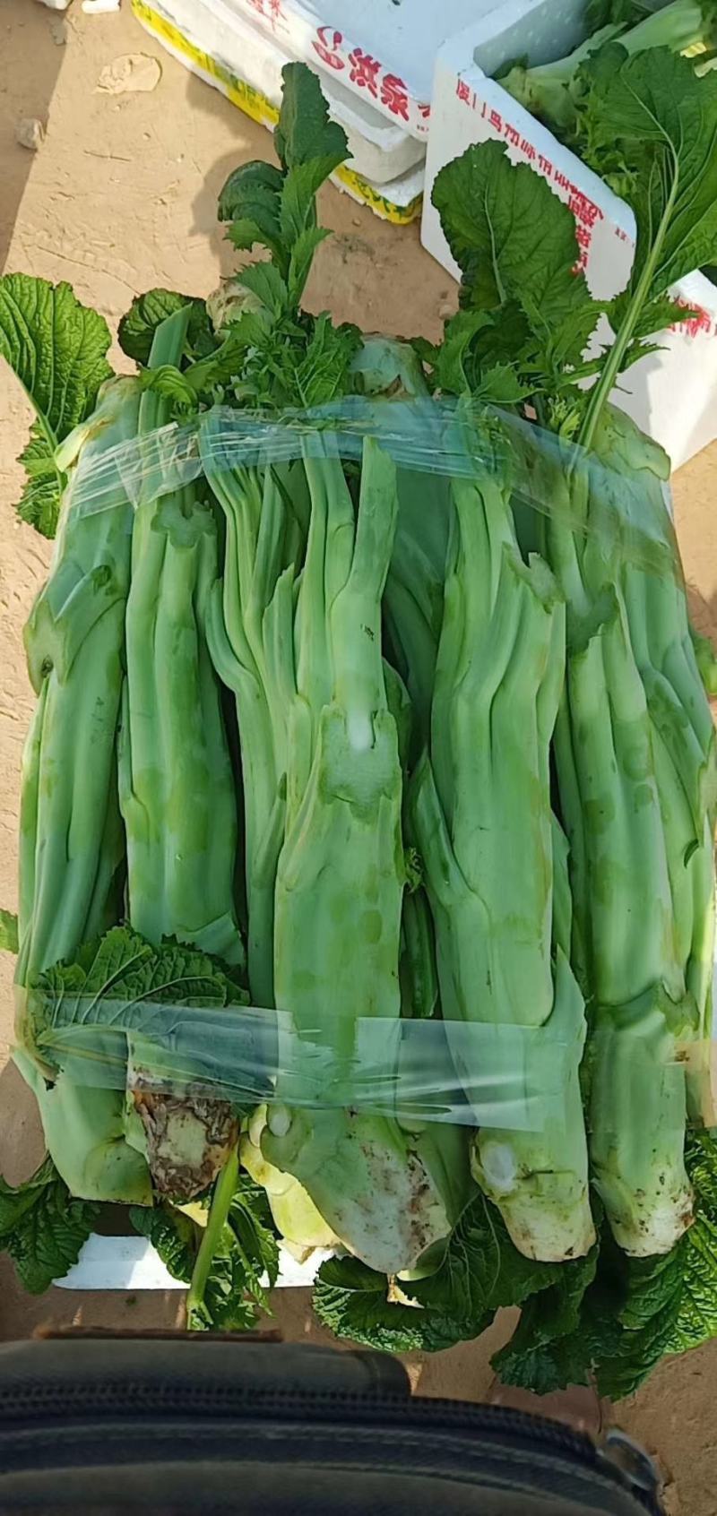 本地菜心大量上市，新鲜水嫩