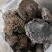 蜂窝小蜂房软蜂窝一斤起批大货便药厂货一手货源产地直发