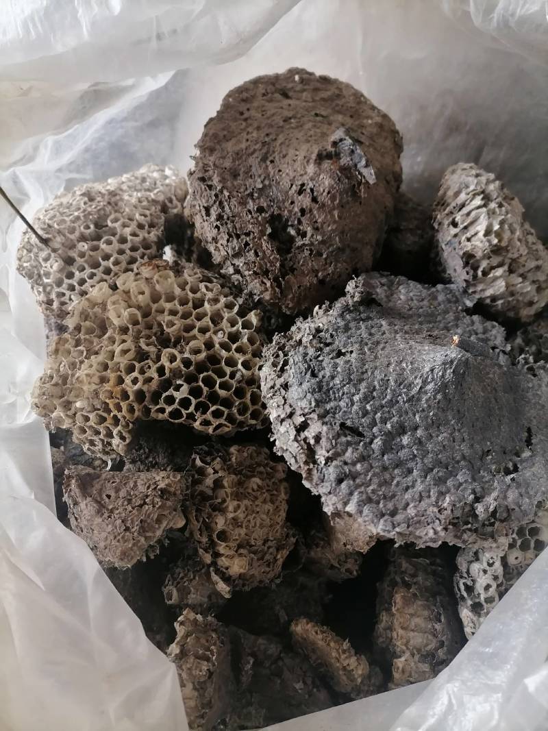 蜂窝小蜂房软蜂窝一斤起批大货便药厂货一手货源产地直发