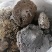 蜂窝小蜂房软蜂窝一斤起批大货便药厂货一手货源产地直发