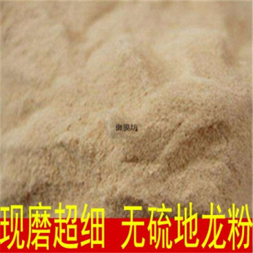 中药材地龙粉包邮广西地龙全开地龙现磨超细粉散装包邮