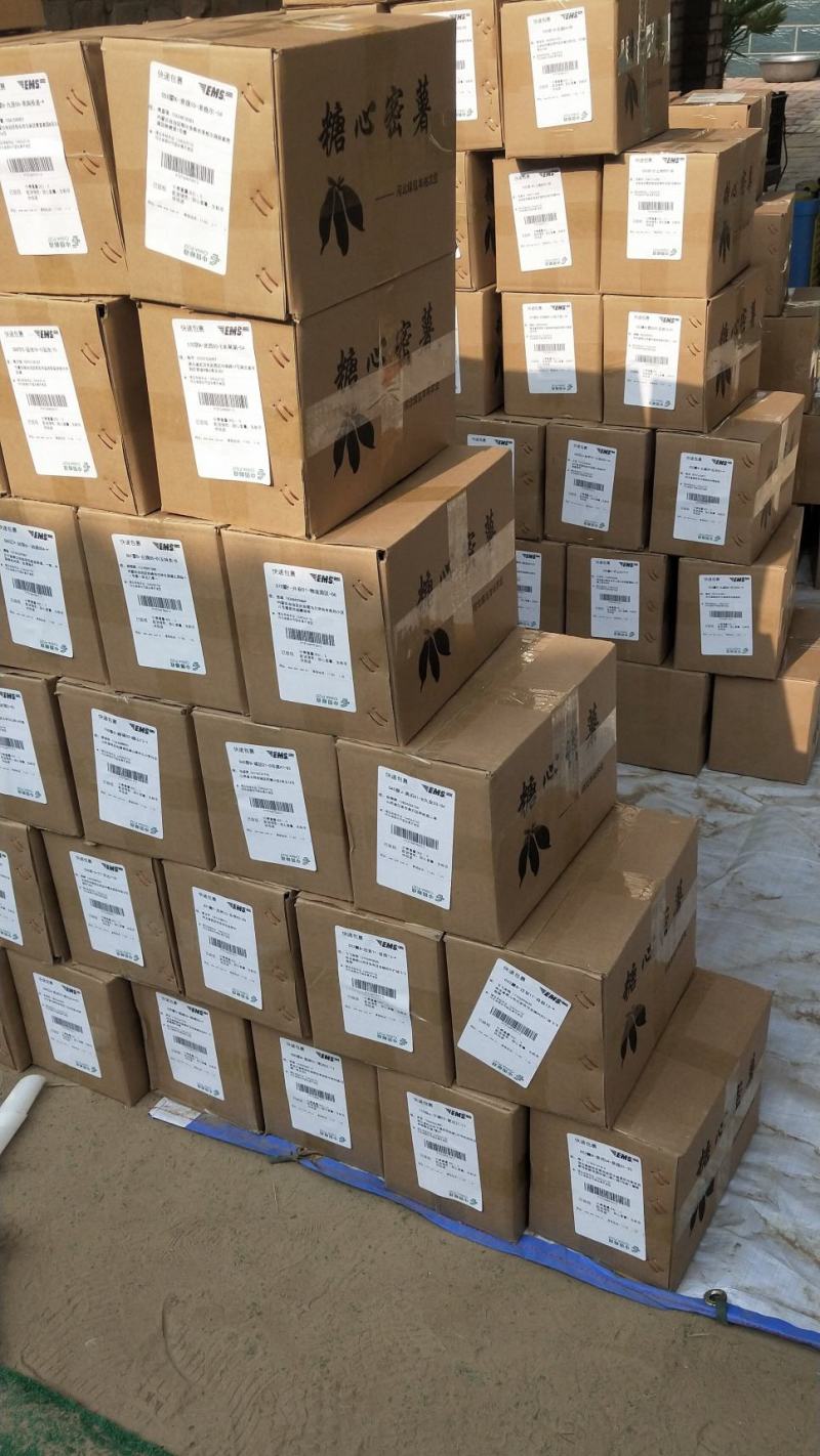 【有好货】烟薯，西瓜红，商品薯，烤薯供货
