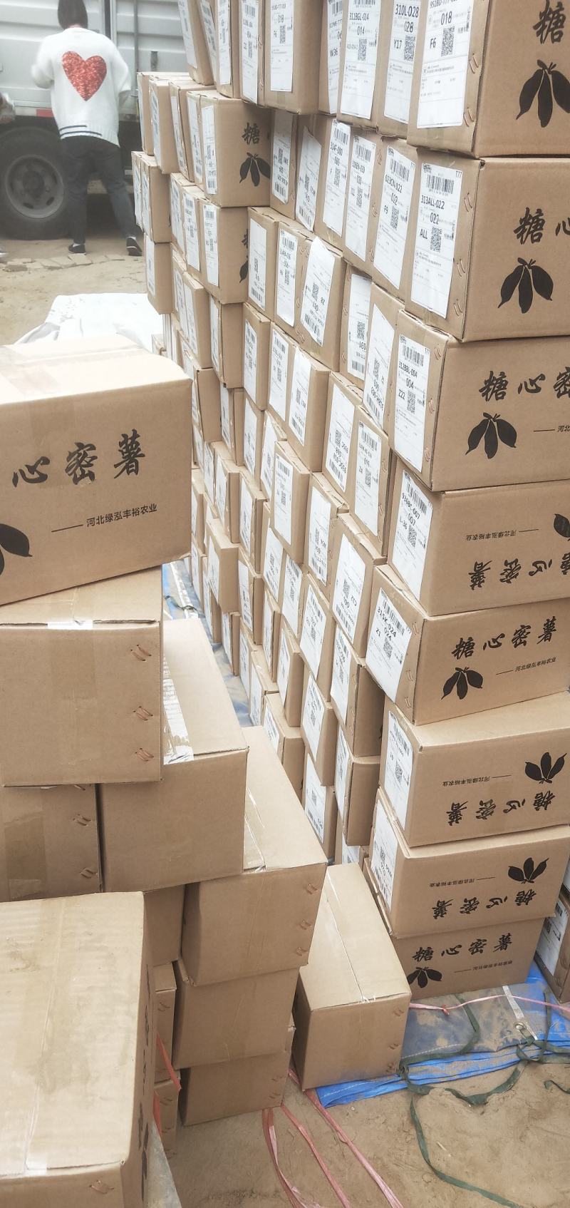 【有好货】烟薯，西瓜红，商品薯，烤薯供货