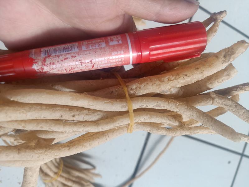 云南普洱野生牛膝_只售鲜货