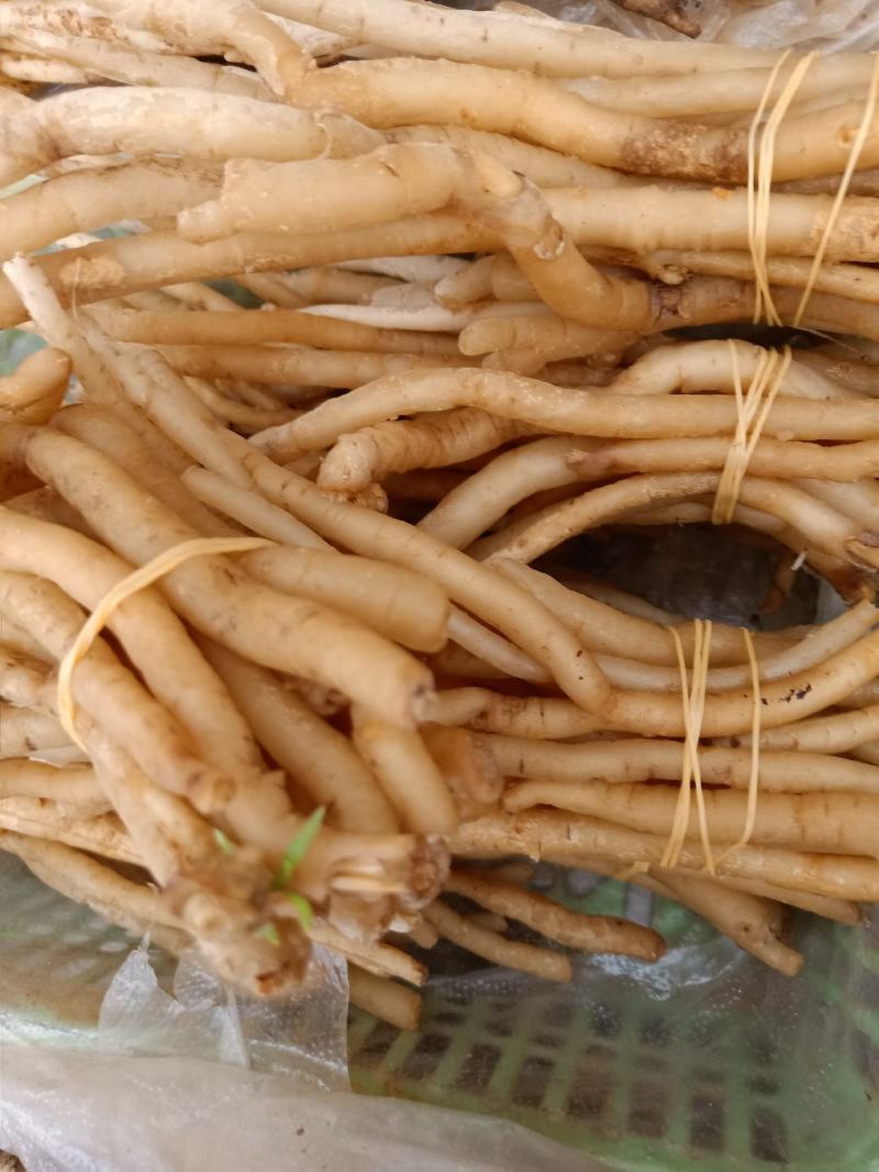 云南普洱野生牛膝_只售鲜货