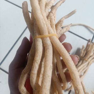 云南普洱野生牛膝_只售鲜货