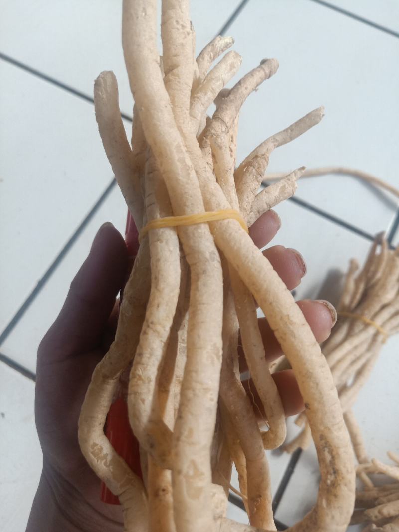 云南普洱野生牛膝_只售鲜货
