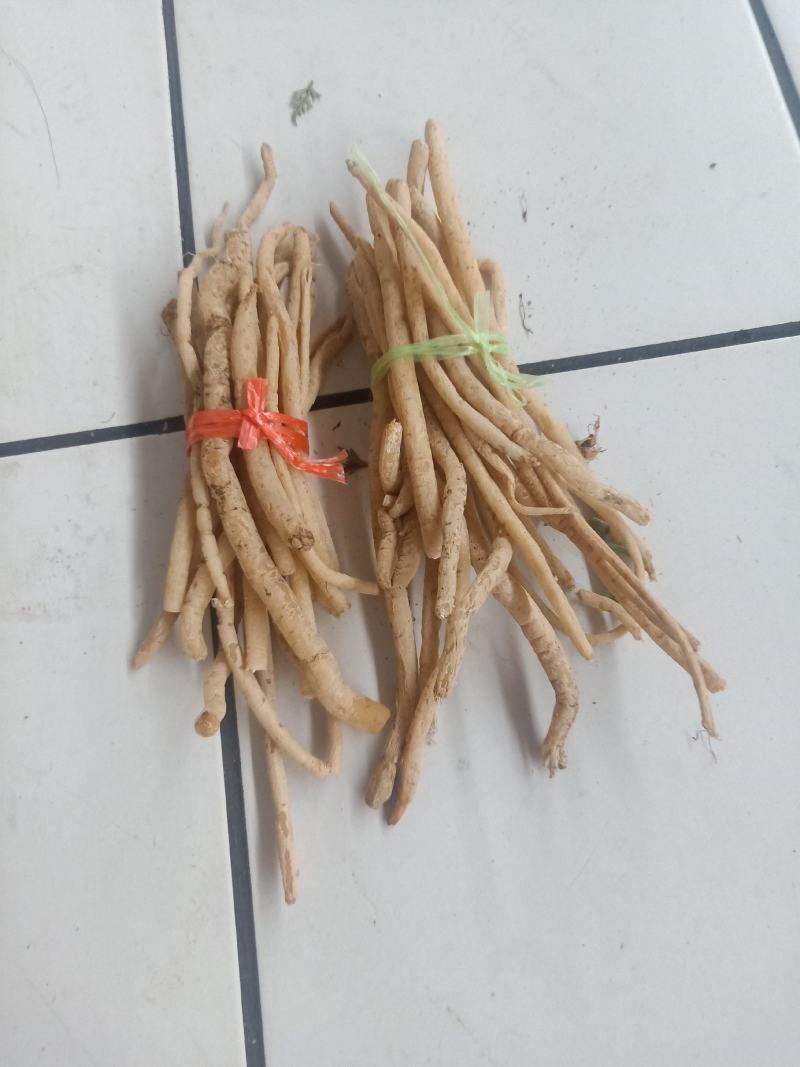 云南普洱野生牛膝_只售鲜货