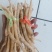 云南普洱野生牛膝_只售鲜货