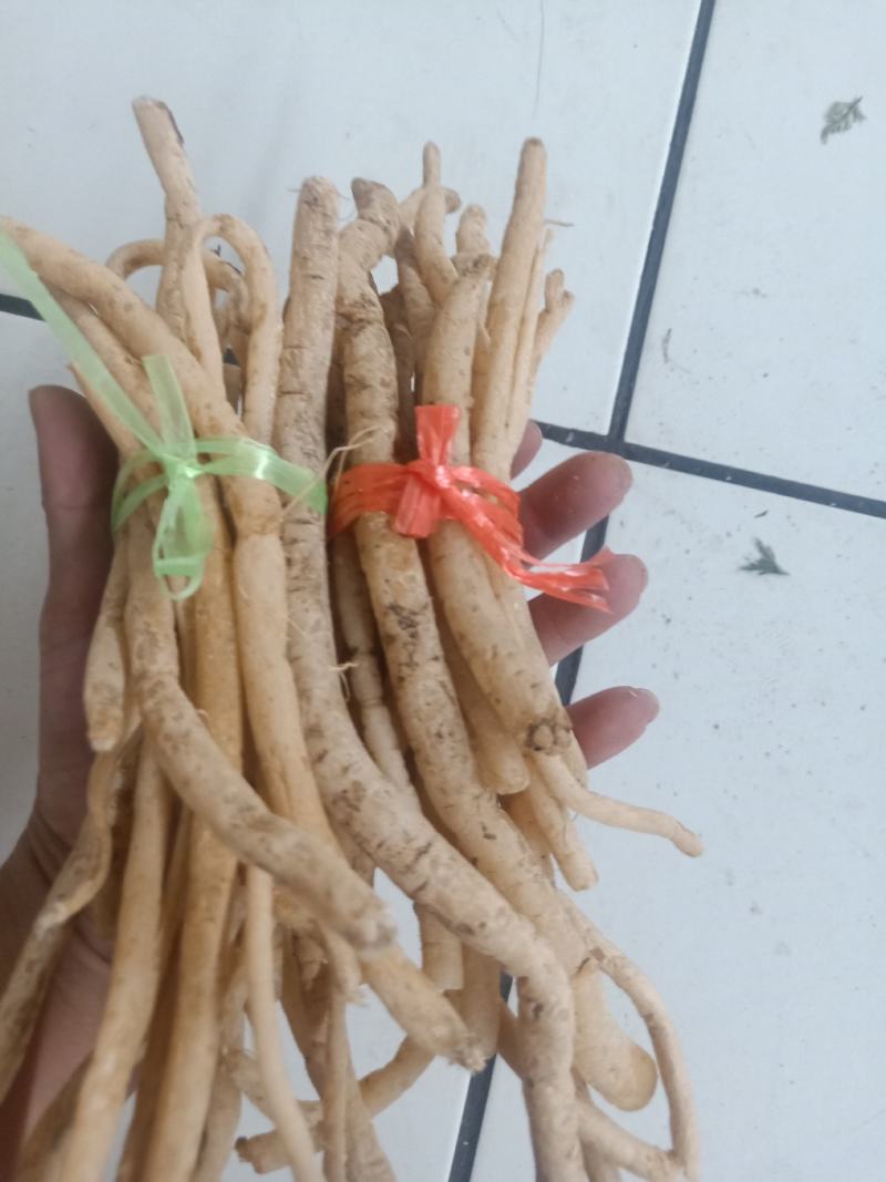 云南普洱野生牛膝_只售鲜货