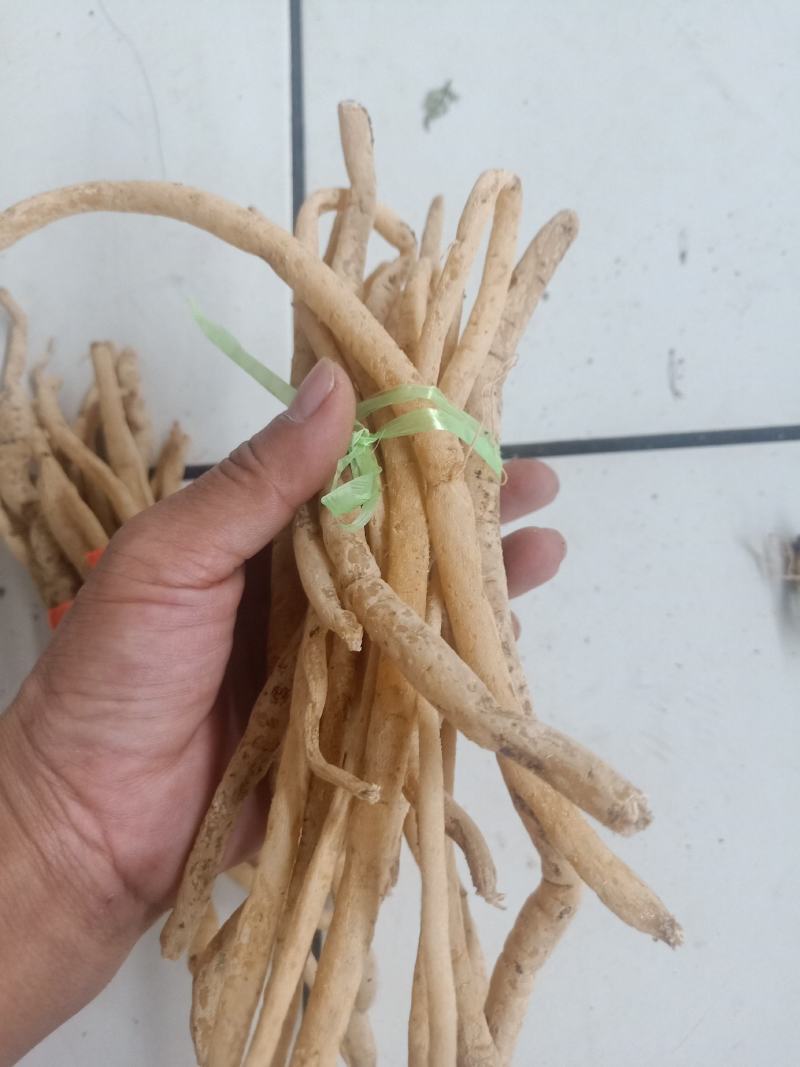 云南普洱野生牛膝_只售鲜货