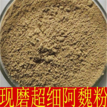 新疆正品现磨阿魏粉阿巍粉臭阿魏粉阿魏粉钓鱼专用